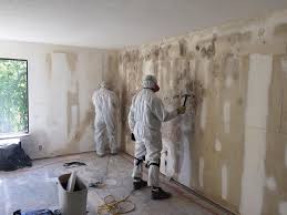 Trusted Fort Sumner, NM Mold Removal & Remediation Experts